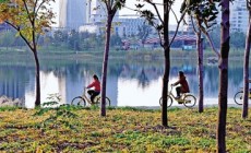 郑州龙子湖秋色正浓 美景吸引诸多市民观光游览