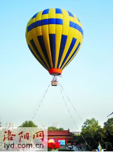 10709266_725579.jpg
