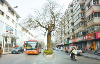 104554059.jpg