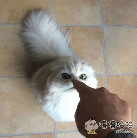 t01cb28f7591691b00b.jpg