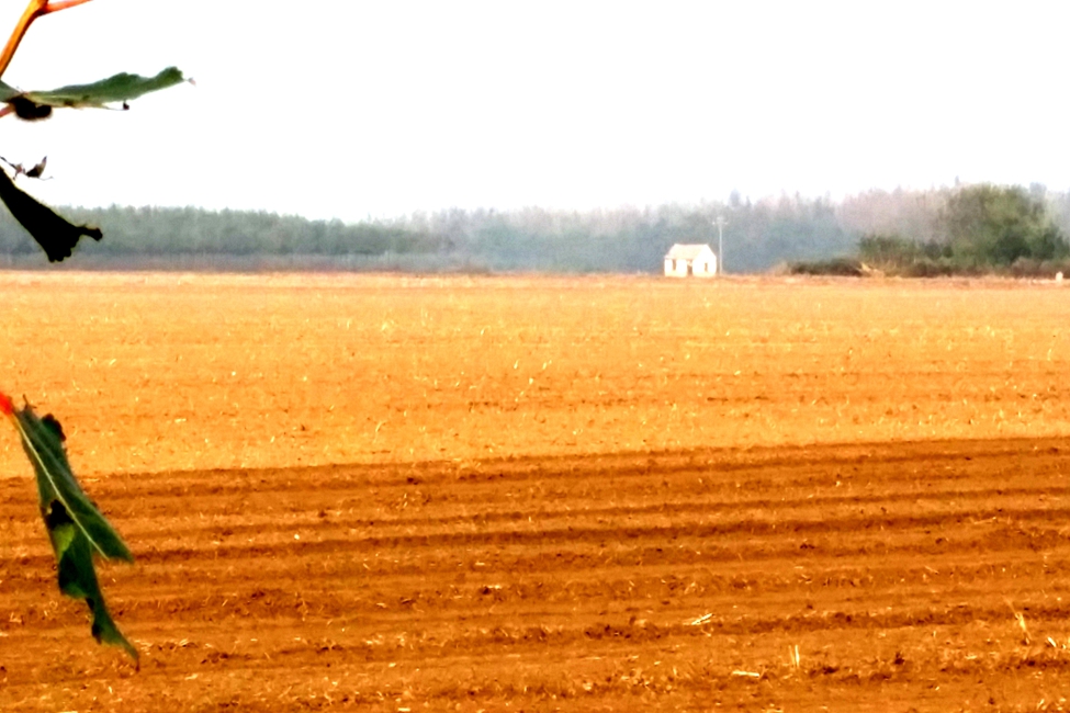 20161004_094224.jpg