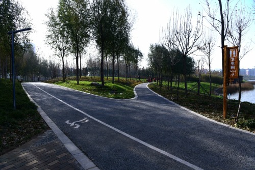 mmexport1480249221599.jpg