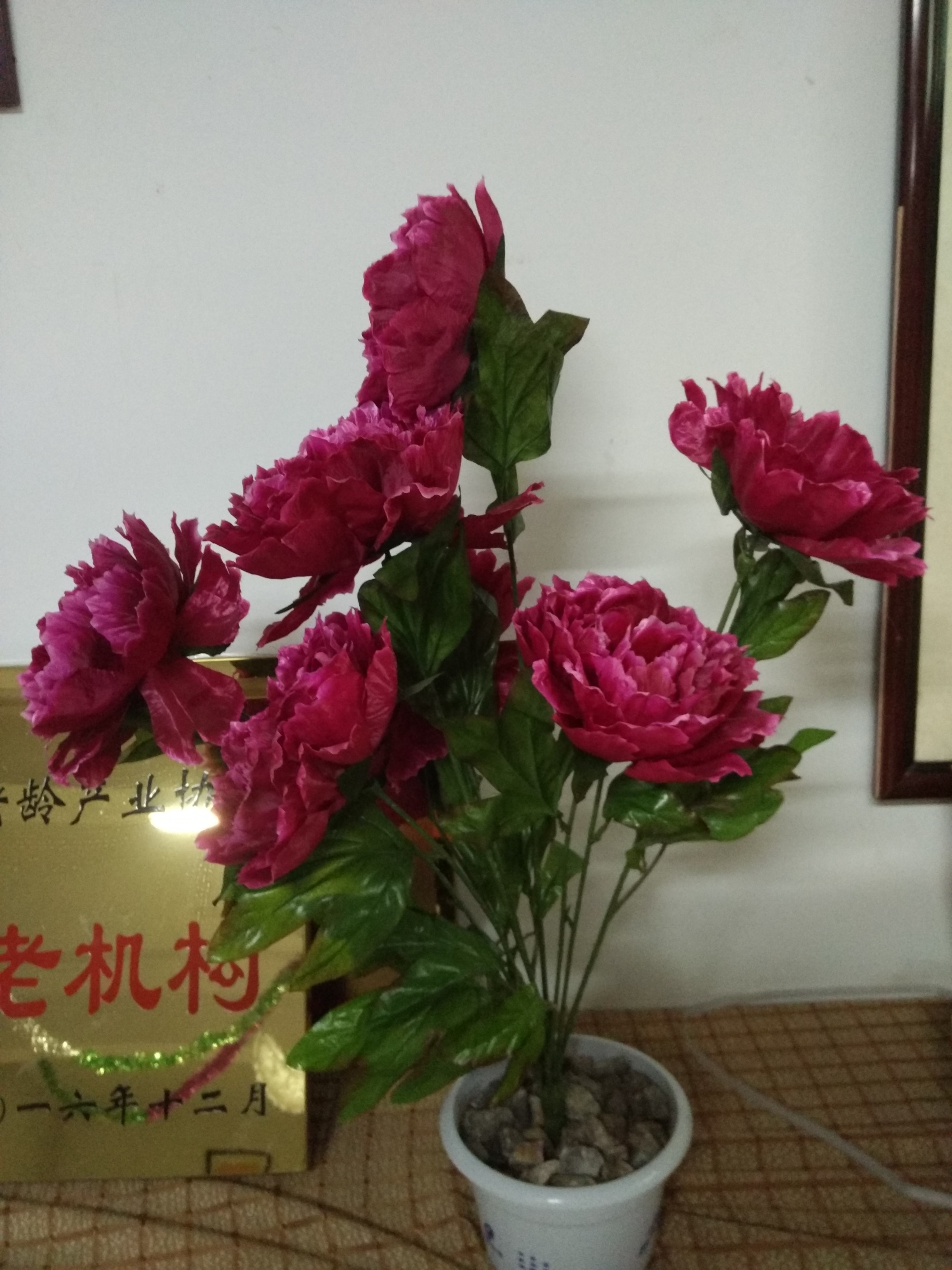 IMG_20170228_163701.jpg