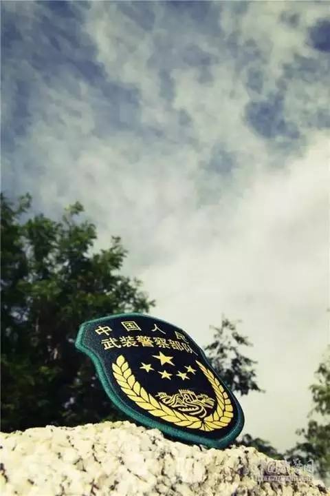 920.jpg
