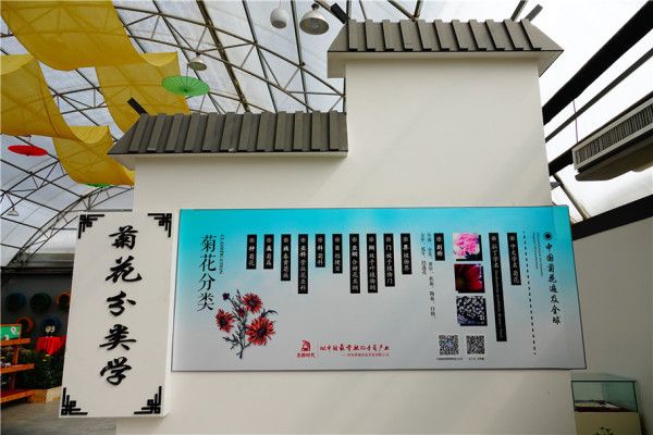 20170904031151248.jpg