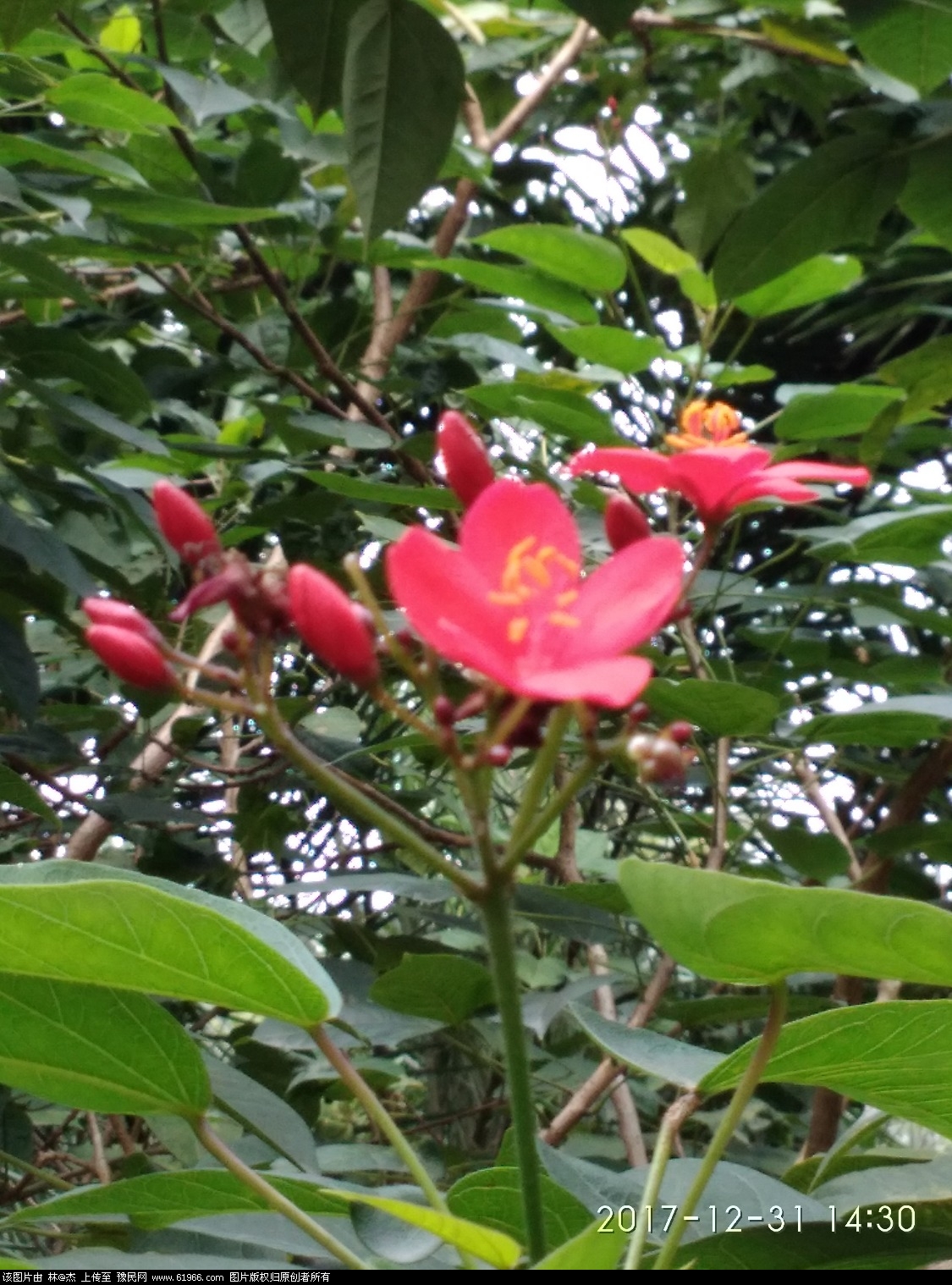 IMG_20171231_143025.jpg