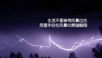 갿.jpg