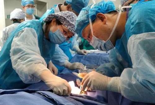 ȫʡ״̬ECMO֣Ժɹʵʩ