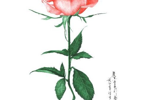 䣡һѧԲ