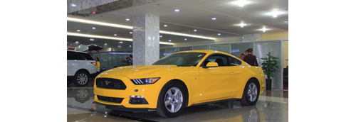 mustangҰۺŻ3.5Ԫ ӭƷ
