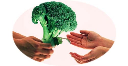 ȷʳĺҪ