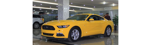 mustangҰŻ4.2Ԫ ֳ