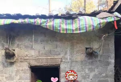 Ͽ⡾־Ը¡ǻѧ--Ϊ˴ɽĺӡ