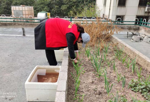 鵱 ذ