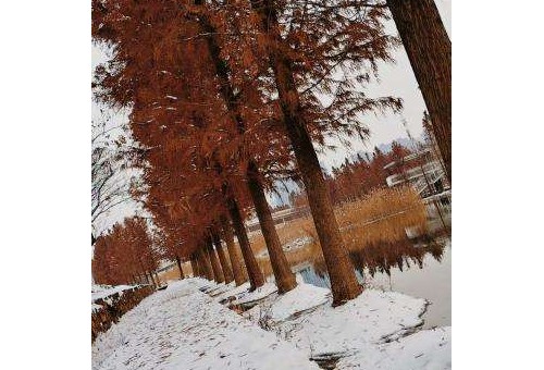 ����̬�������Σ�̽�и�֪��չ��